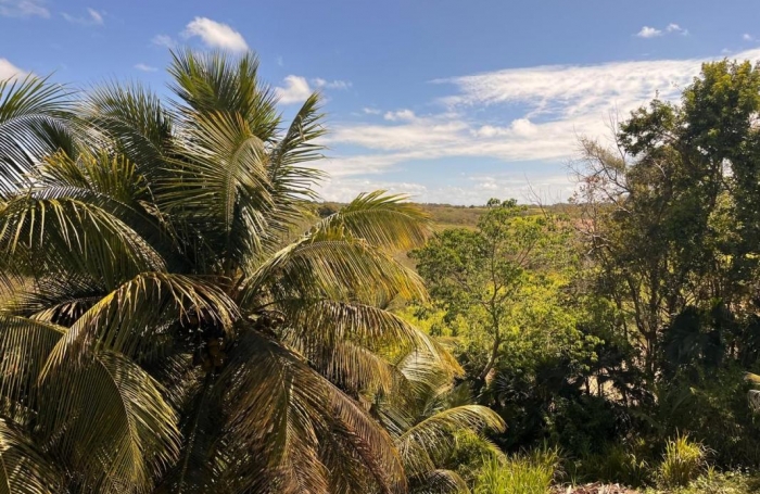 Vente Maison 370m&sup2; 11 pi&#232;ces Morne à l'eau