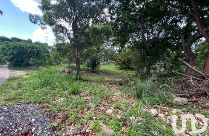 Vente Terrain 5950m&sup2; Petit-Canal