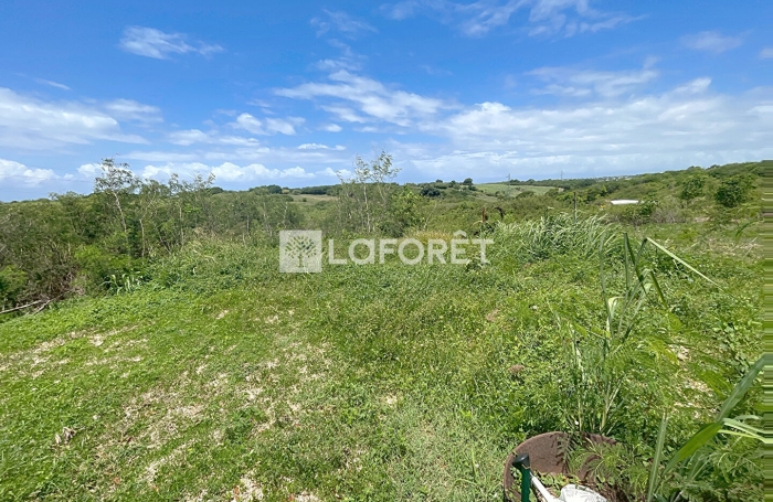 Vente Terrain 400m² Sainte Anne