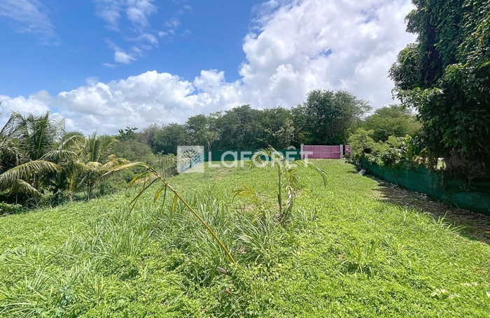 Vente Terrain 400m² Sainte Anne