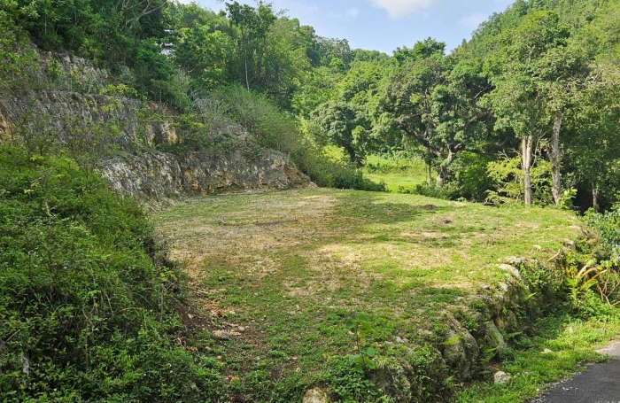 Vente Terrain 1000m&sup2; Gosier