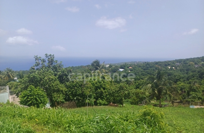 Vente Terrain 97123