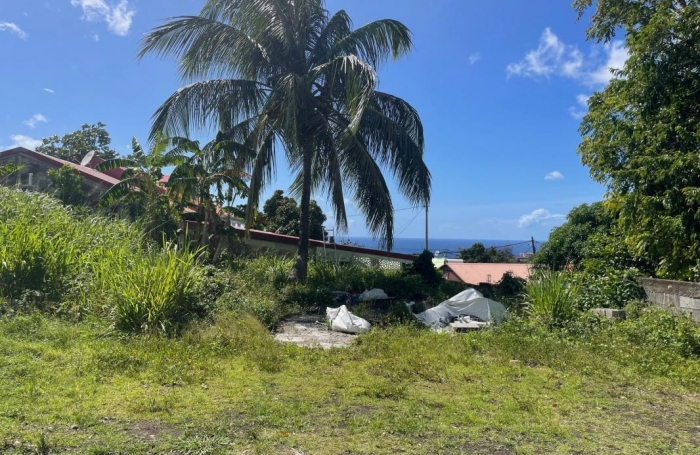 Vente Terrain 545m&sup2; Gourbeyre