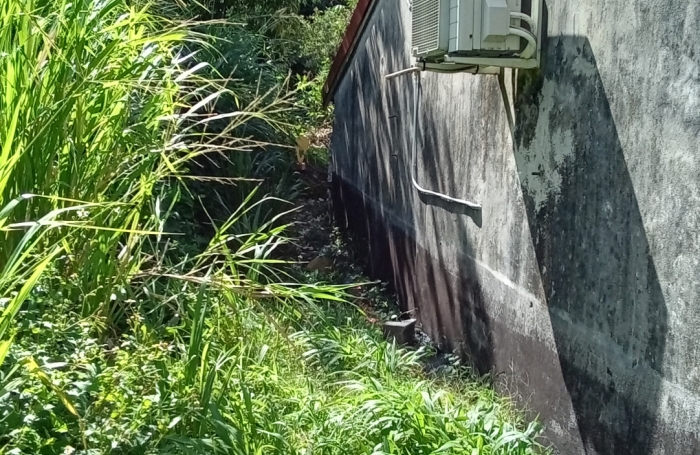 GOURBEYRE  BLANCHET TERRAIN A BATIR DE 545 M2