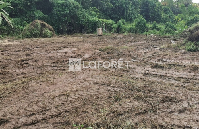 Vente Terrain 1566m² 4 pièces Les Abymes