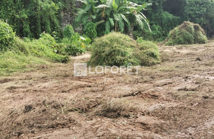 Vente Terrain 1566m² 4 pièces Les Abymes