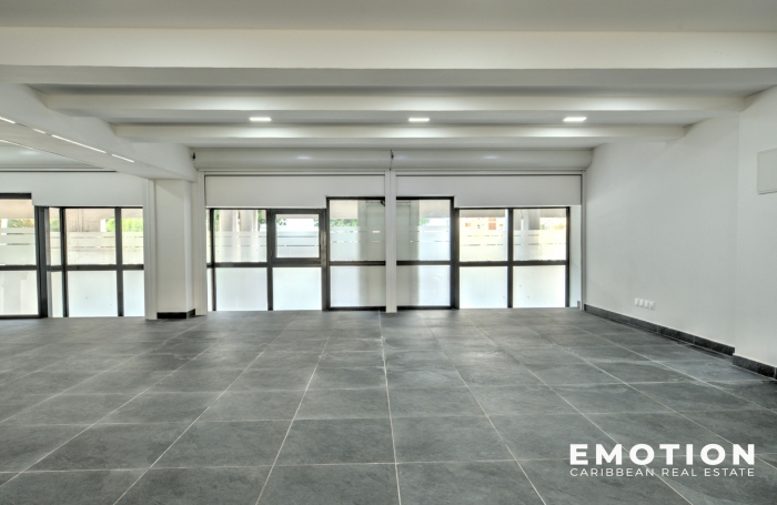 LOCAL COMMERCIAL 115 m2 - A VENDRE