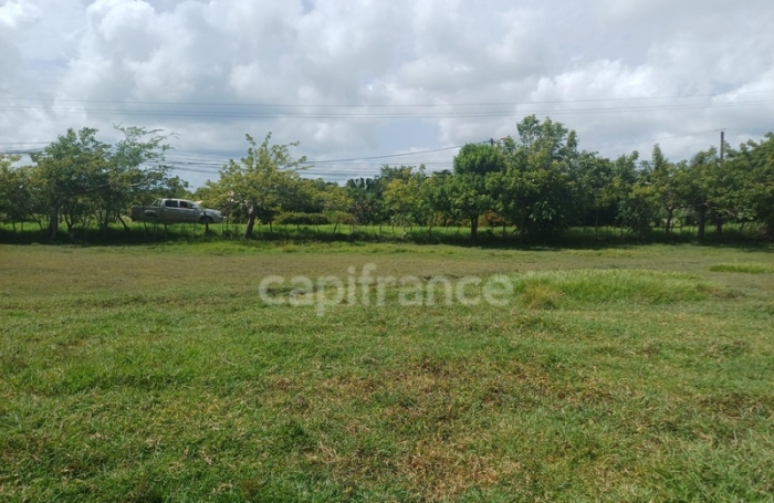 Vente Terrain 1000m&sup2; Petit-Canal