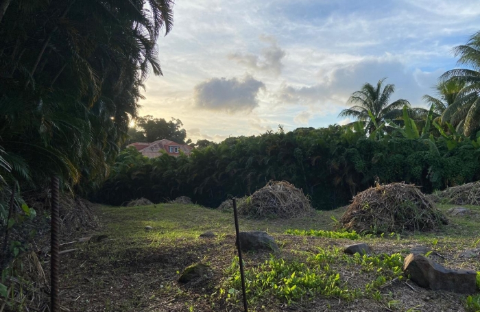 SAINT CLAUDE Terrain plat de 1318m2 secteur Belfond