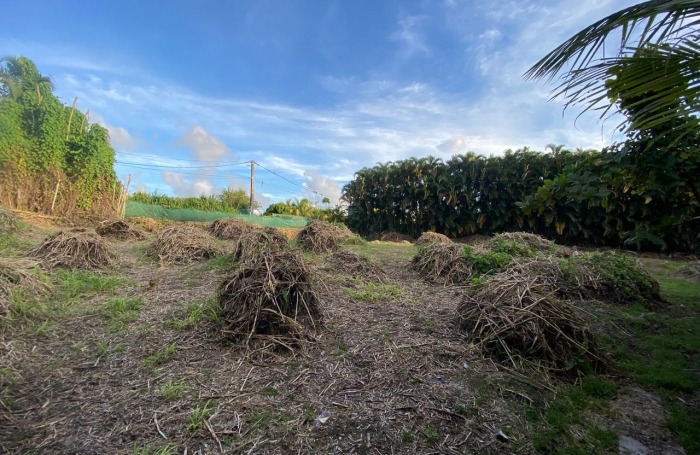 SAINT CLAUDE Terrain plat de 1318m2 secteur Belfond