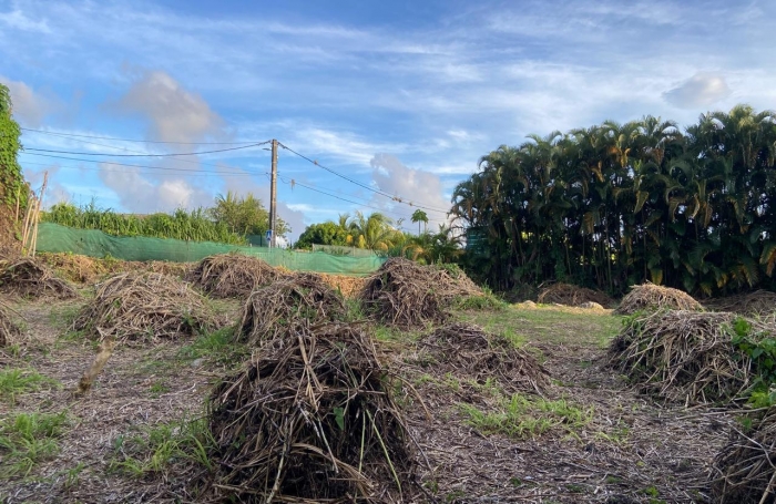 SAINT CLAUDE Terrain plat de 1318m2 secteur Belfond