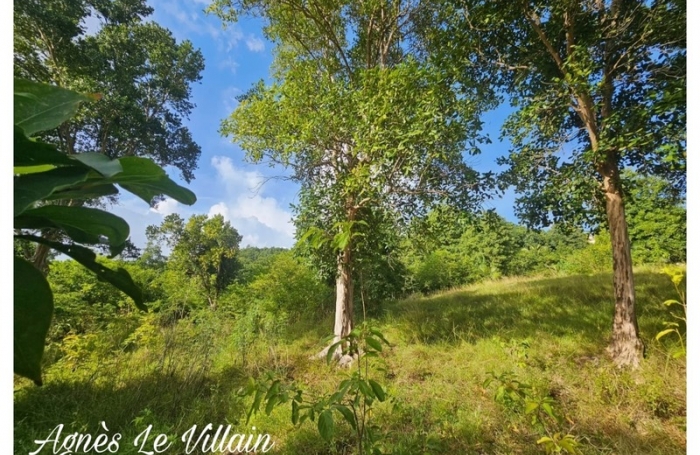 Vente Terrain 2983m&sup2; Bouillante