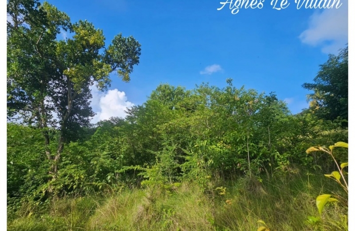 Vente Terrain 2983m&sup2; Bouillante