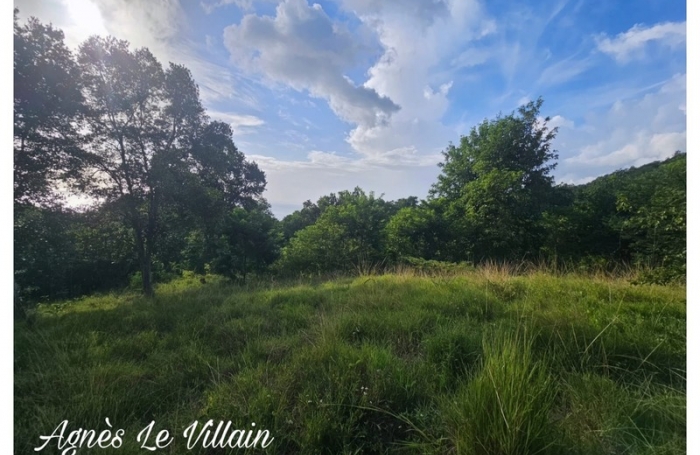 Vente Terrain 2983m&sup2; Bouillante