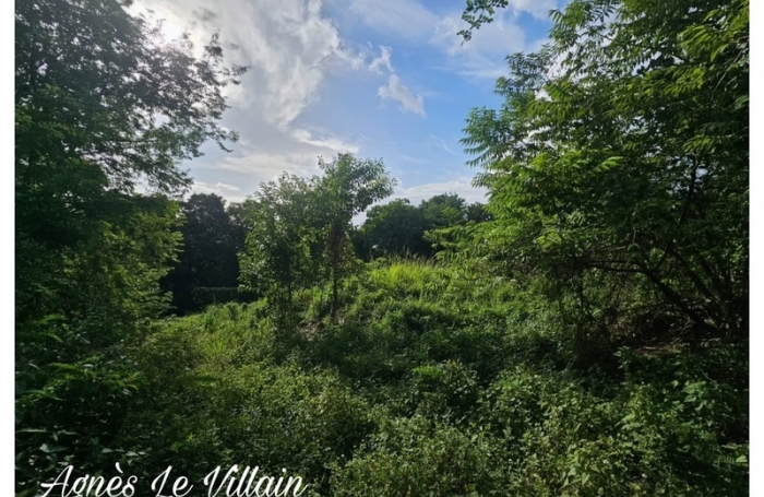 Vente Terrain 2983m&sup2; Bouillante