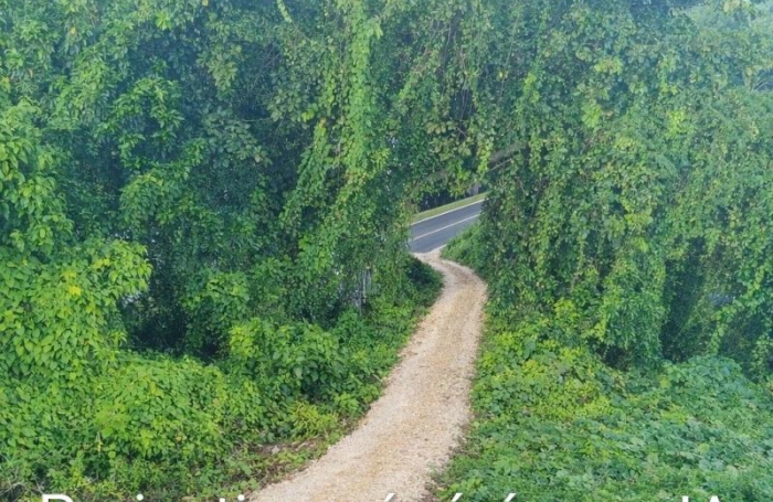 Vente Maison 110m&sup2; 5 pièces Morne &agrave; l'eau