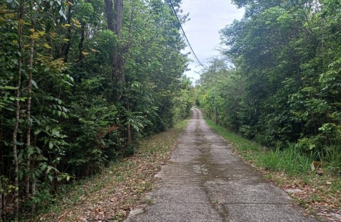 Vente Terrain 6000m&sup2; Deshaies