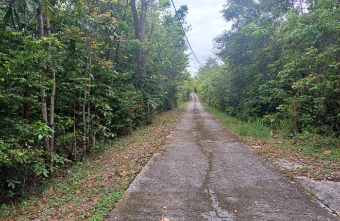 Vente Terrain 6000m&sup2; Deshaies