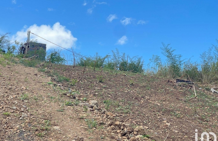 Vente Terrain 1039m&sup2; Vieux Habitants
