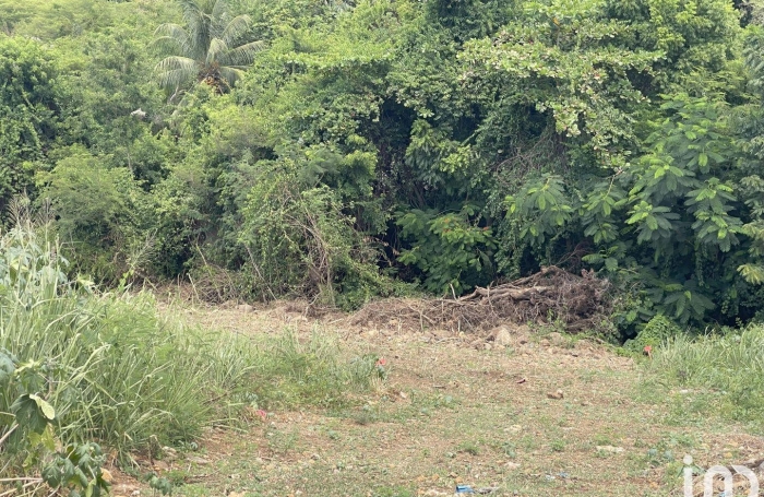 Vente Terrain 789m&sup2; Vieux Habitants