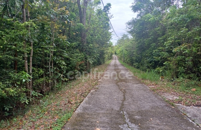 Vente Terrain 2000m&sup2; Deshaies