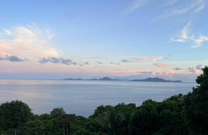 Location Appartement 97114