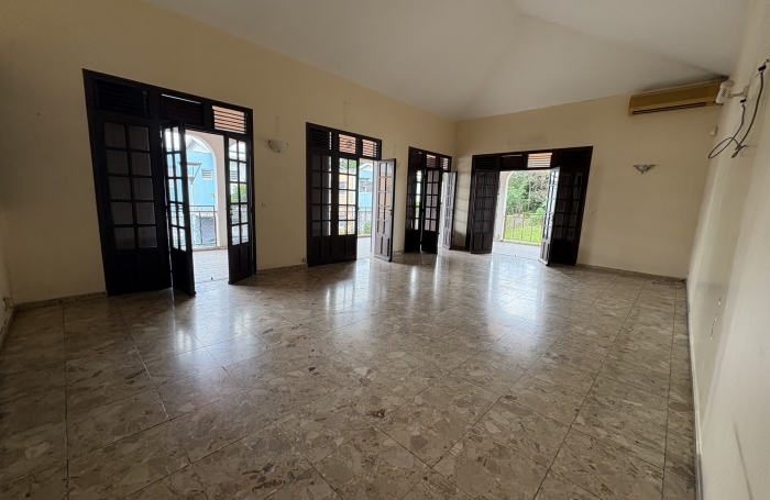 LOCAL PROFESSIONNEL AVENUE PATRICK SAINT ELOI LES ABYMES