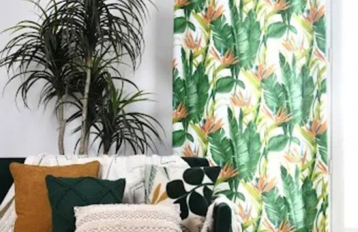 Vente Fonds de commerce 268m&sup2; 1 pi&#232;ce Baie Mahault