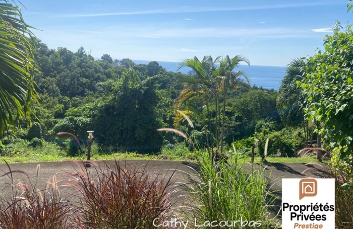 Vente Terrain 7709m&sup2; Bouillante