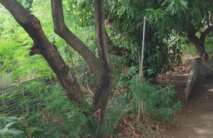 Vente Maison 60m&sup2; 4 pi&#232;ces Basse-Terre