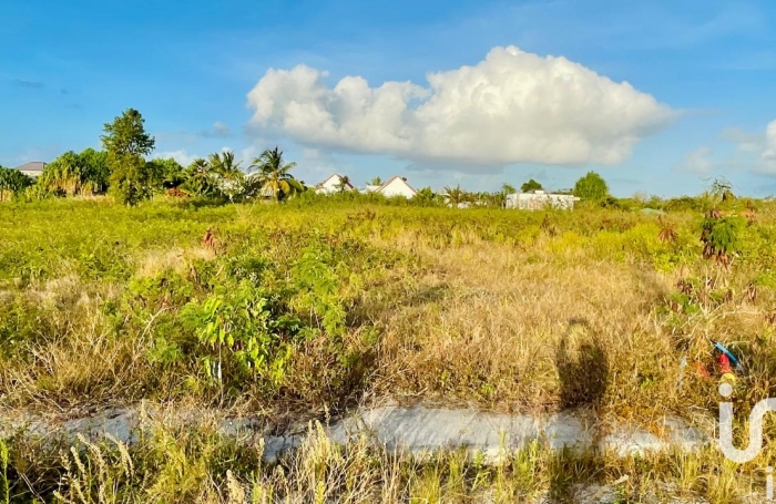Vente Terrain 500m&sup2; Anse-Bertrand