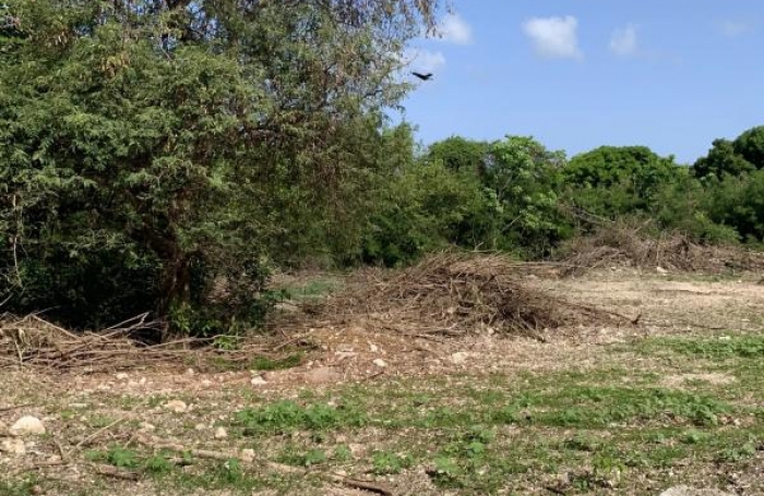 Vente Terrain 655m&sup2; Saint Fran&ccedil;ois