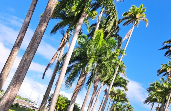 MAISON F4 DANS LOTISSEMENT, IDEALEMENT SITUEE