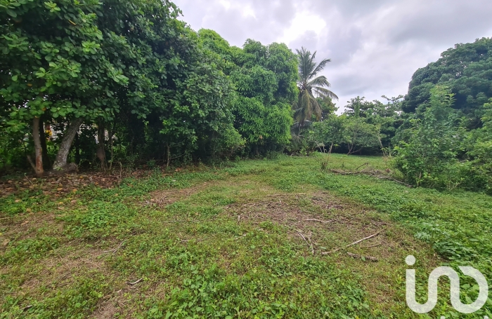 Vente Terrain 1196m&sup2; Le Moule