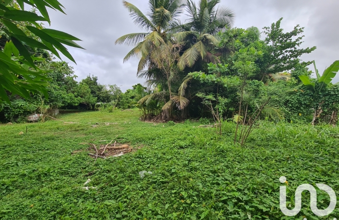 Vente Terrain 1196m&sup2; Le Moule