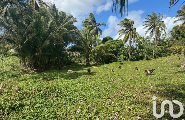 Vente Terrain 2037m&sup2; Morne à l'eau