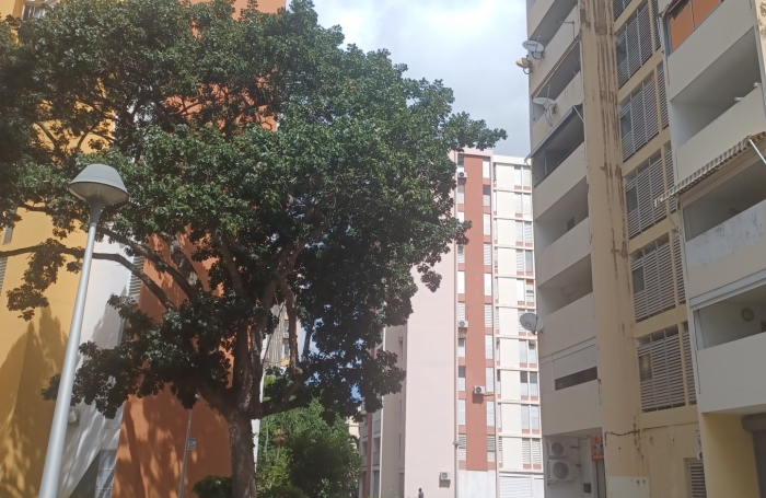 Vente Appartement 97110