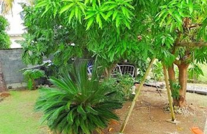 Vente Maison 78m&sup2; 4 pi&#232;ces Anse-Bertrand