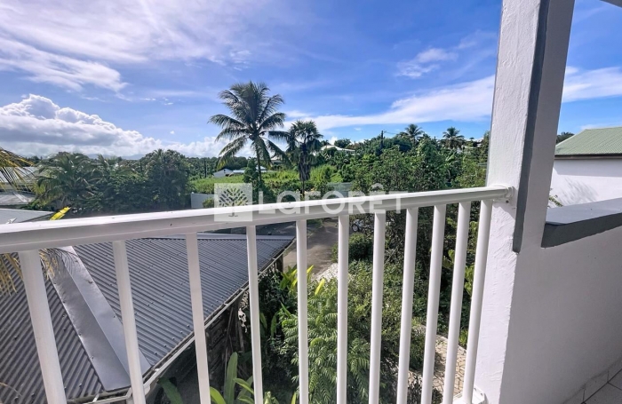 Vente Maison 335m² 12 pièces Morne à l'eau