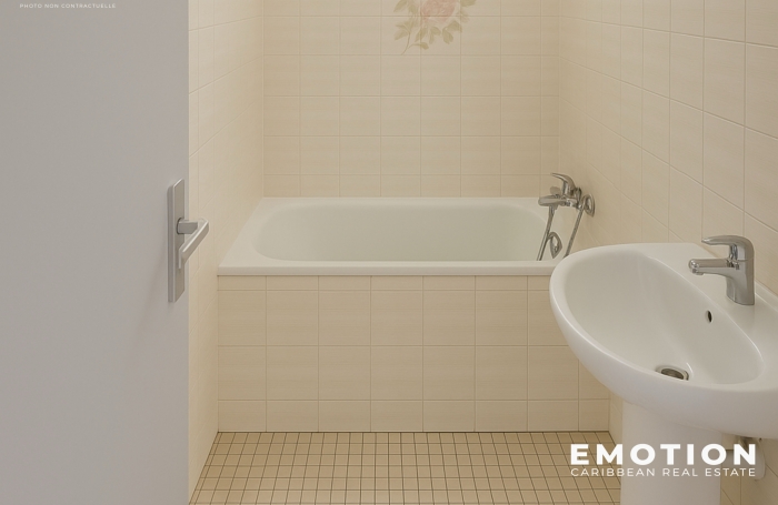 APPARTEMENT T3 60m2 AUX ABYMES