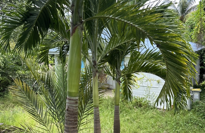 Vente Maison 51m&sup2; 4 pi&#232;ces Gosier