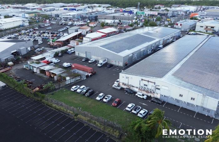 Bureaux 300 m2 divisibles à Baie-Mahault Jarry ( Guadeloupe)