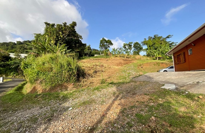 Vente Terrain 1111m&sup2; Gourbeyre