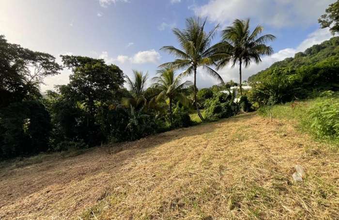 Vente Terrain 1111m&sup2; Gourbeyre