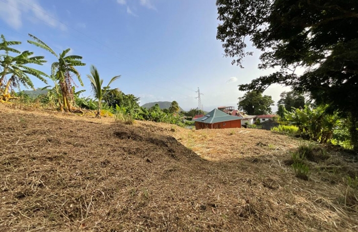 Vente Terrain 1111m&sup2; Gourbeyre