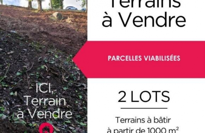 Vente Terrain 97170