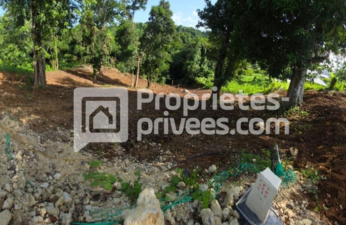 Vente Terrain 1030m&sup2; Petit-Bourg