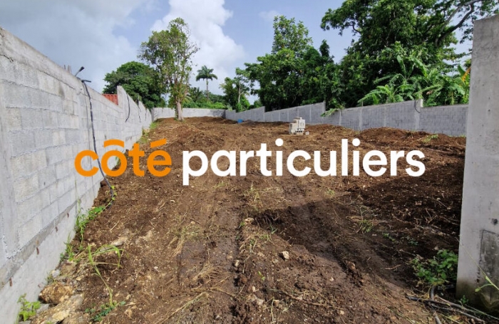 Vente Terrain 500m² Petit-Bourg