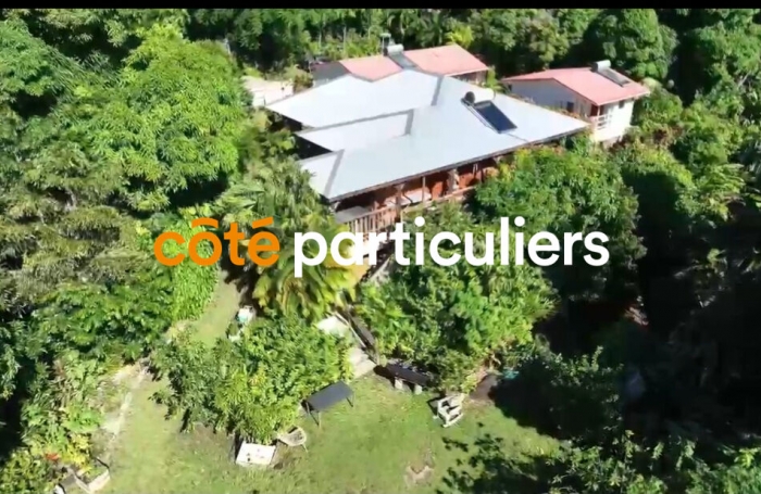 Vente Terrain 5005m² 9 pièces Pointe-Noire