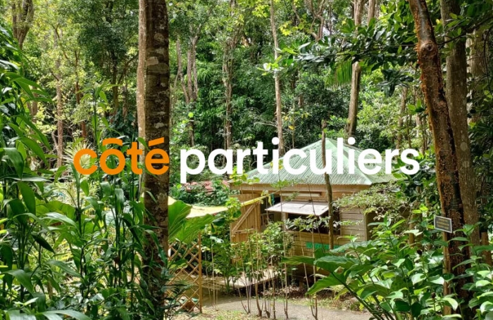 Vente Terrain 5005m² 9 pièces Pointe-Noire